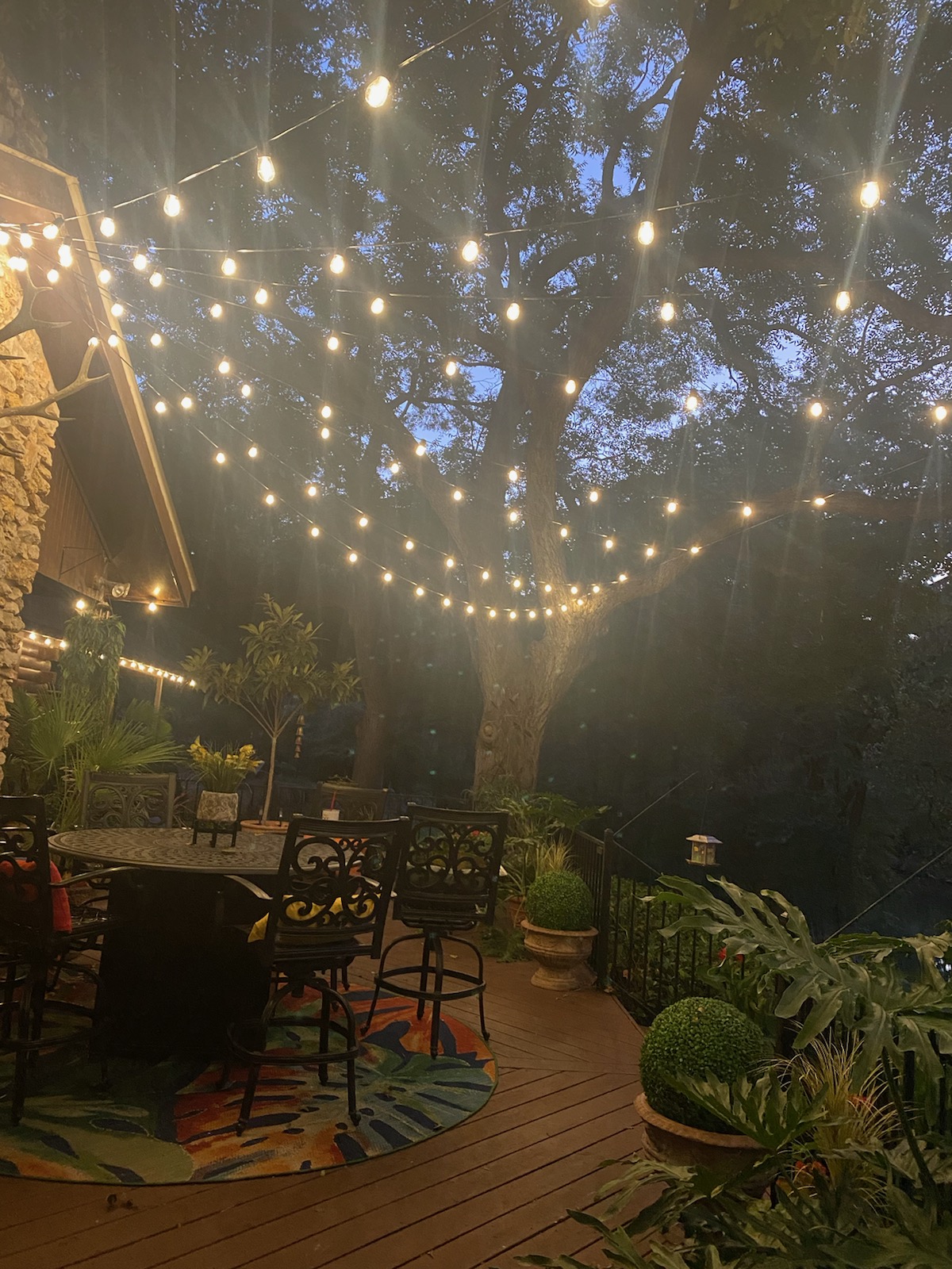 Bistro lights over a back patio in Middle Tennessee